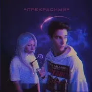 Полюби